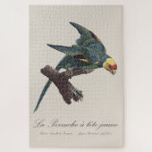 Carolina-parkiet, Conuropsis carolinensis Legpuzzel (Verticaal)