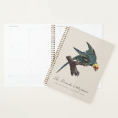 Carolina-parkiet, Conuropsis carolinensis Planner (Display)