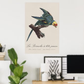Carolina-parkiet, Conuropsis carolinensis Poster (Thuiskantoor)