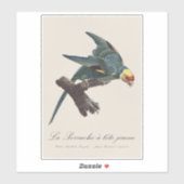 Carolina-parkiet, Conuropsis carolinensis Sticker (Vel)