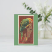 Carolina Parrot Briefkaart (Staand voorkant)
