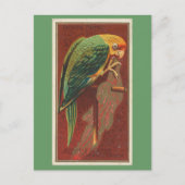 Carolina Parrot Briefkaart (Voorkant)