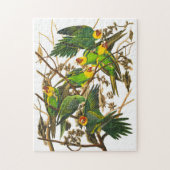 Carolina Parrot door John James Audubon Legpuzzel (Verticaal)