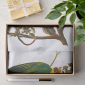Carolina Parrot door John James Audubon Tissuepapier (Geschenk)