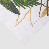 Carolina Parrot door John James Audubon Tissuepapier (Detail)