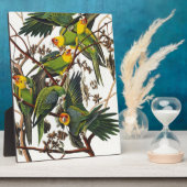 Carolina Parrot - John James Audubon (1827-1838) Fotoplaat (Zijkant)