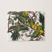 Carolina Parrot - John James Audubon (1827-1838) Legpuzzel (Horizontaal)