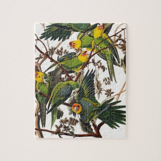 Carolina Parrot - John James Audubon (1827-1838) Legpuzzel (Verticaal)