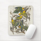 Carolina Parrot - John James Audubon (1827-1838) Muismat (Met muis)