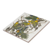 Carolina Parrot - John James Audubon (1827-1838) Tegeltje (Zijkant)