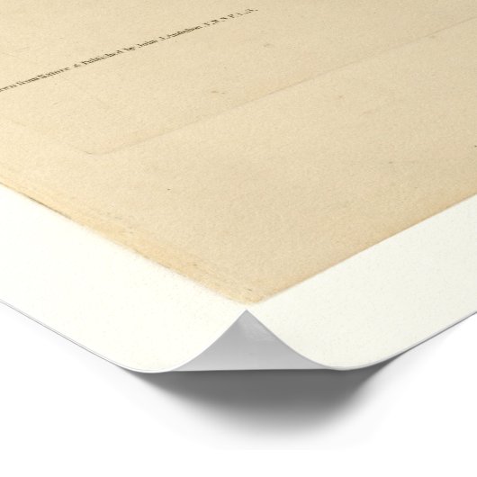 Carolina Parrot Poster (Hoek)