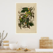 Carolina Parrot Poster (Keuken)