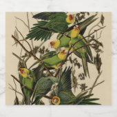 Carolina Parrot uit Audubon's Birds of America Bier Etiket (Enkel label)