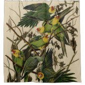 Carolina Parrot uit Audubon's Birds of America Douchegordijn (Voorkant)