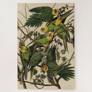Carolina Parrot uit Audubon's Birds of America Legpuzzel
