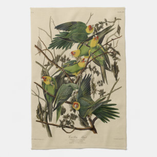 Carolina Parrot uit Audubon's Birds of America Theedoek