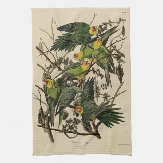 Carolina Parrot uit Audubon's Birds of America Theedoek (Verticaal)