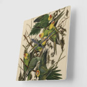 Carolina Parrot uit Audubon's Birds of America Vierkante Klok (Hoek)