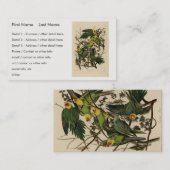 Carolina Parrot uit Audubon's Birds of America Visitekaartje (Voorkant / Achterkant)