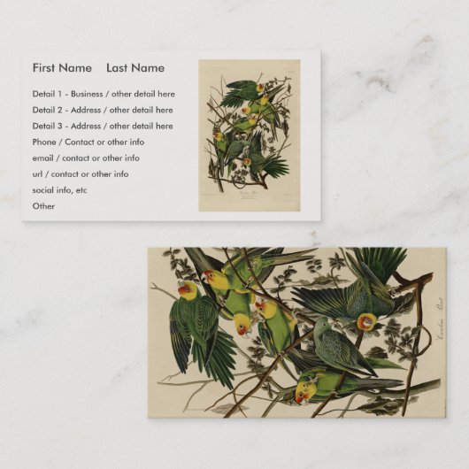 Carolina Parrot uit Audubon's Birds of America Visitekaartje (Voorkant / Achterkant)