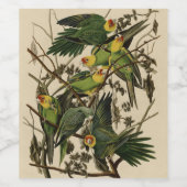 Carolina Parrot uit Audubon's Birds of America Wijn Etiket (Enkel label)