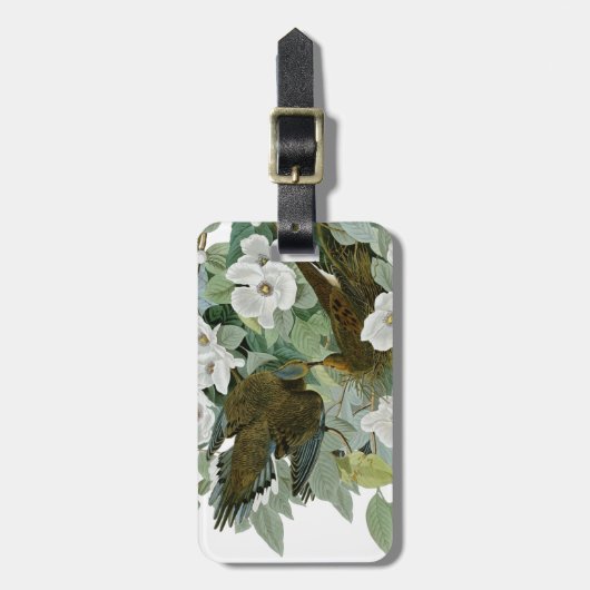 Carolina Pigeon Audubon Morning Dove Bagagelabel (Voorkant verticaal)