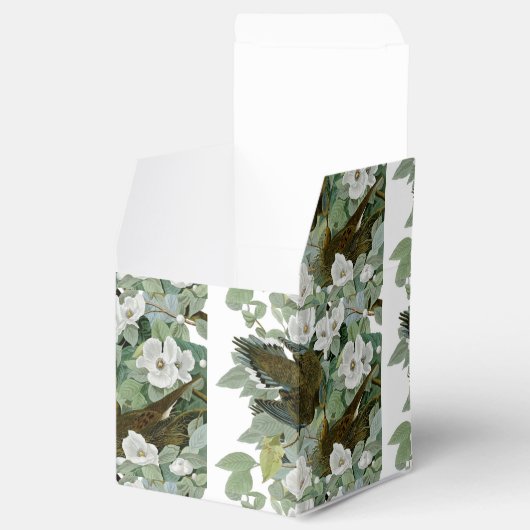 Carolina Pigeon Audubon Morning Dove Bedankdoosjes (Geopend)