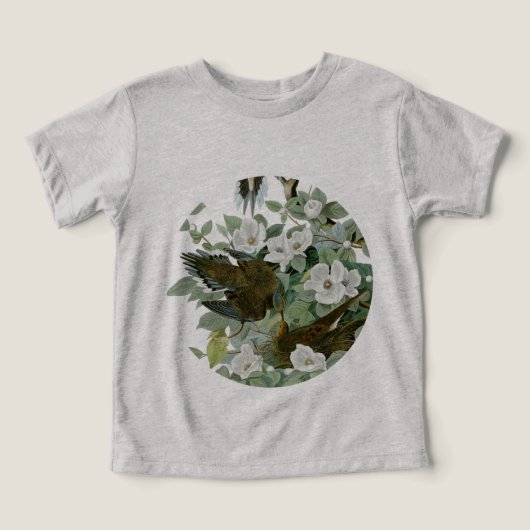 Carolina Pigeon Audubon Morning Dove Bird (Design voorkant)