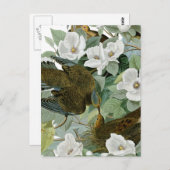 Carolina Pigeon Audubon Morning Dove Briefkaart (Voorkant / Achterkant)