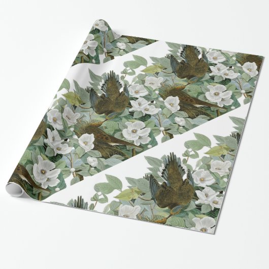 Carolina Pigeon Audubon Morning Dove Cadeaupapier (Uitgerold)