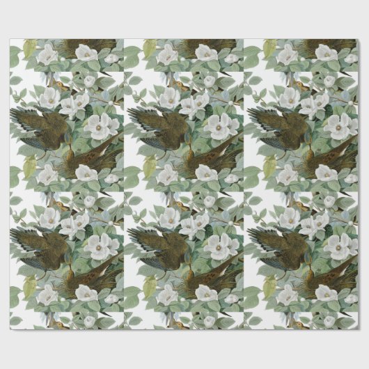 Carolina Pigeon Audubon Morning Dove Cadeaupapier (Vlak)