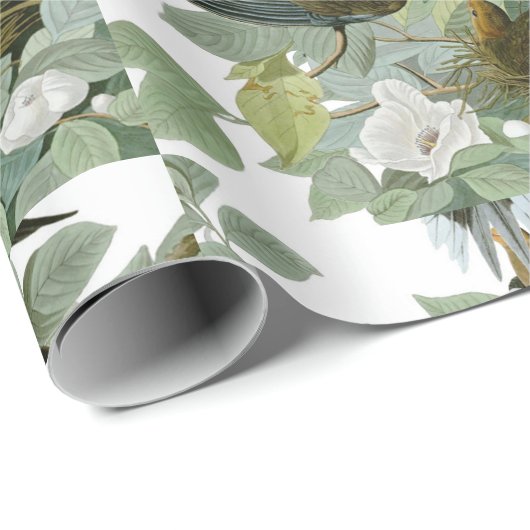 Carolina Pigeon Audubon Morning Dove Cadeaupapier (Rol Hoek)