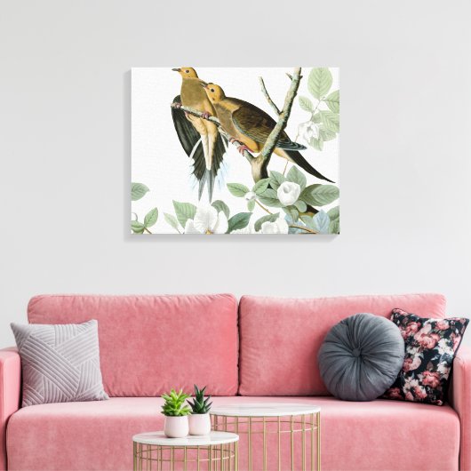 Carolina Pigeon Audubon Morning Dove Canvas Afdruk (Insitu (Woonkamer))