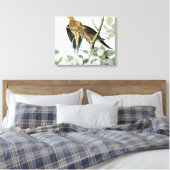 Carolina Pigeon Audubon Morning Dove Canvas Afdruk (Insitu (Slaapkamer))