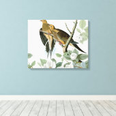 Carolina Pigeon Audubon Morning Dove Canvas Afdruk (Insitu (Houten vloer))