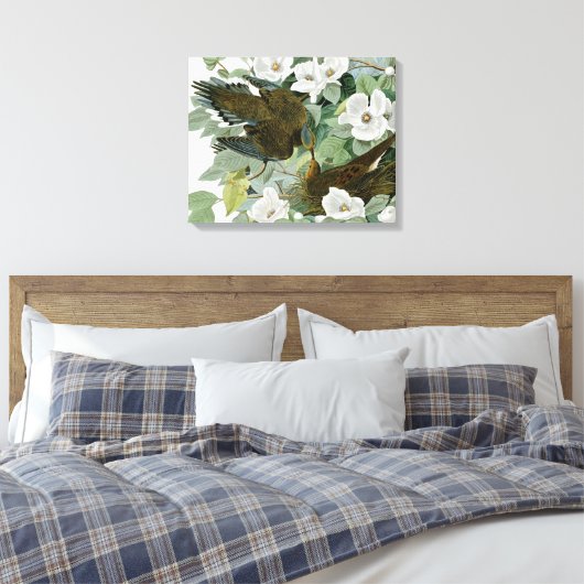 Carolina Pigeon Audubon Morning Dove Canvas Afdruk (Insitu (Slaapkamer))