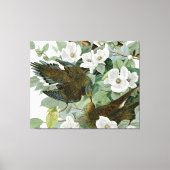 Carolina Pigeon Audubon Morning Dove Canvas Afdruk (Voorkant)