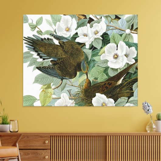 Carolina Pigeon Audubon Morning Dove Canvas Afdruk (Insitu (Woonkamer))