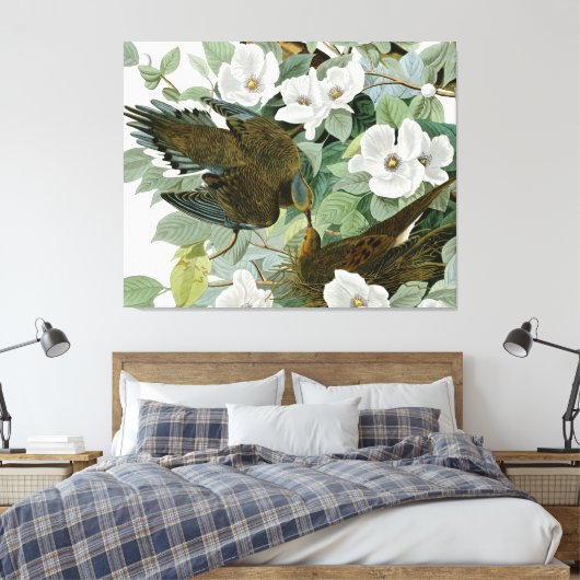 Carolina Pigeon Audubon Morning Dove Canvas Afdruk (Insitu (Slaapkamer))