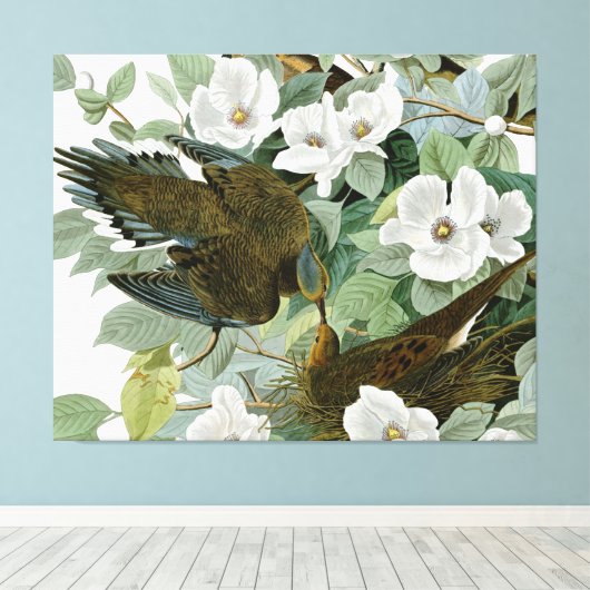 Carolina Pigeon Audubon Morning Dove Canvas Afdruk (Insitu (Houten vloer))