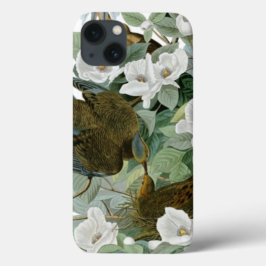 Carolina Pigeon Audubon Morning Dove Case-Mate iPhone Case (Achterkant)