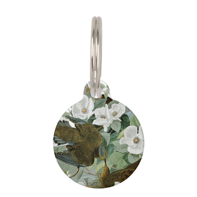 Carolina Pigeon Audubon Morning Dove Huisdierpenning (Voorkant)