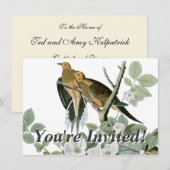 Carolina Pigeon Audubon Morning Dove Kaart (Voorkant / Achterkant)