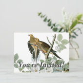 Carolina Pigeon Audubon Morning Dove Kaart (Staand voorkant)