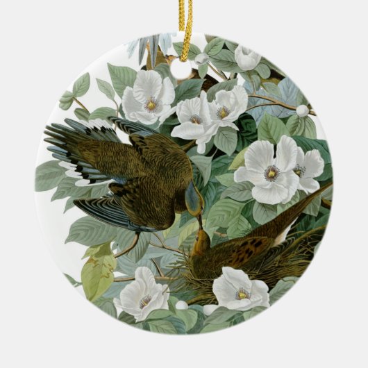 Carolina Pigeon Audubon Morning Dove Keramisch Ornament (Voorkant)