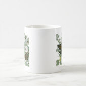 Carolina Pigeon Audubon Morning Dove Koffiemok (Center)