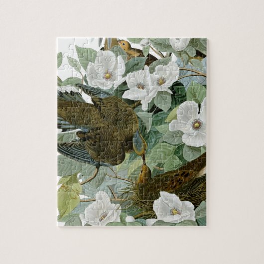 Carolina Pigeon Audubon Morning Dove Legpuzzel (Verticaal)