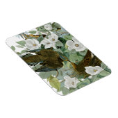 Carolina Pigeon Audubon Morning Dove Magneet (Rechterzijde)