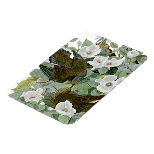 Carolina Pigeon Audubon Morning Dove Magneet (Linkerzijde)