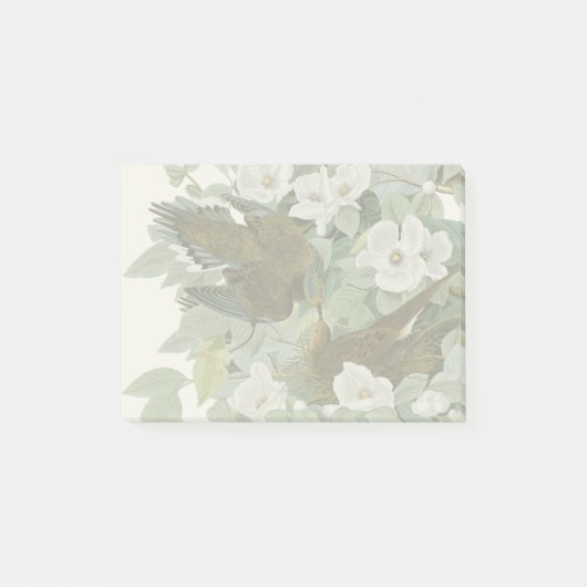 Carolina Pigeon Audubon Morning Dove Post-it® Notes (Voorkant)
